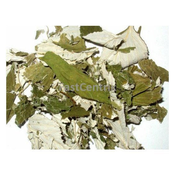 ostruzinamalherb.jpg