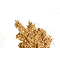 Trudnikovec_-_Coriolus_Plodnica_Mleta_Prasok_BIO_100g