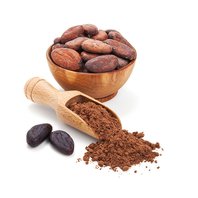 Kakaové Bôby Mleté - Cacao Prášok BIO RAW 250g (Theobroma cacao)