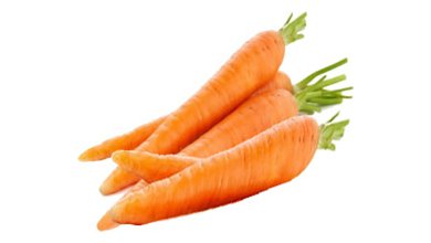 Mrkva obyčajná (Daucus carota)