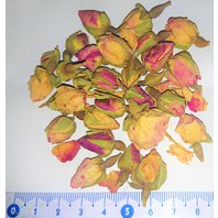 Ruža kvet púčiky 1KG (Rosa centifolia) Ruža kvet púčiky 1KG (Rosa centifolia)