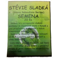 Stévia Sladká Semena 10ks (Stevia rebaudiana),