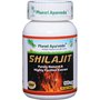 shilajit-mumio-kapsule.jpg