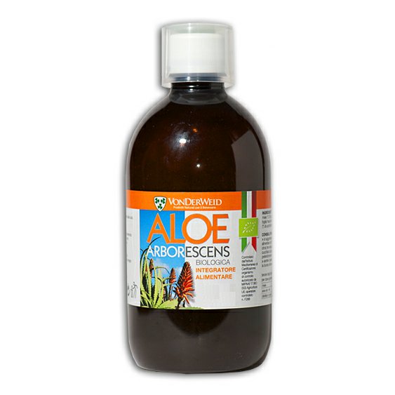 aloe-arborescens.jpg