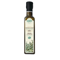 Lišajník - Pľuzgierka Islandská Sirup 320g