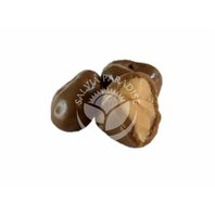 Arašidy v Mliečnej Čokoláde 300g Arašidy v Mliečnej Čokoláde 300g