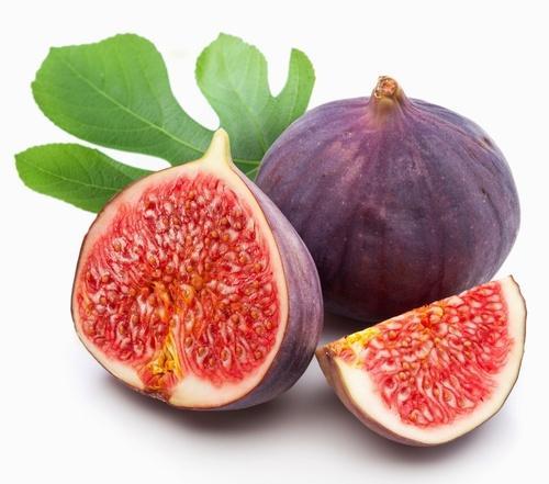 Figovník Obyčajný - Figy (Ficus carica)