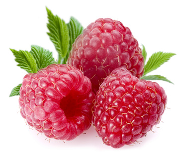 Ostružina malinová - Maliny (Rubus idaeus)