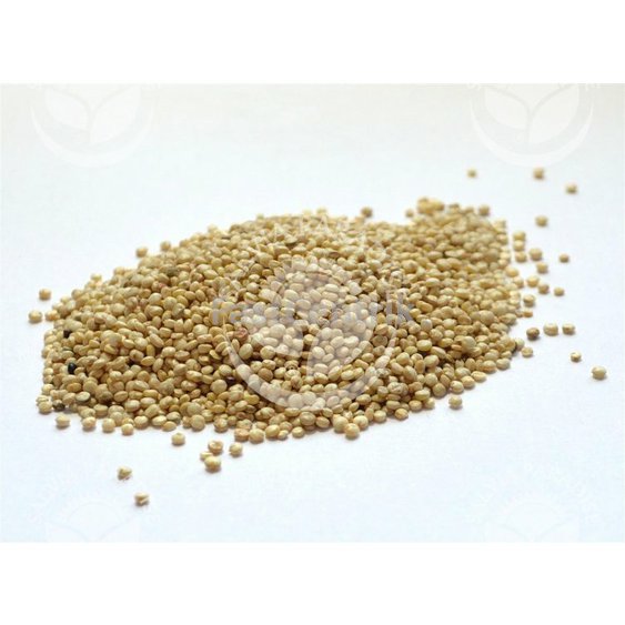 quinoa.jpg