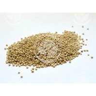 Quinoa- Quinua Lúpané Semeno 400g (Chenopodium quinoa)