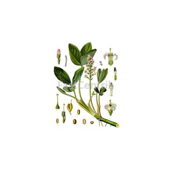vachtaherb.jpg